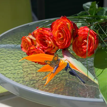 With Swimming Pool Hvar - 22431 Apartman Hvar Town