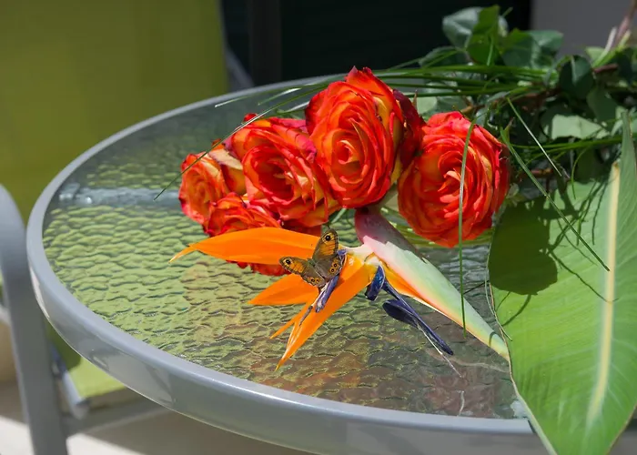 With Swimming Pool Hvar - 22431 شقة هفار